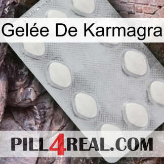 Gelée De Karmagra 16
